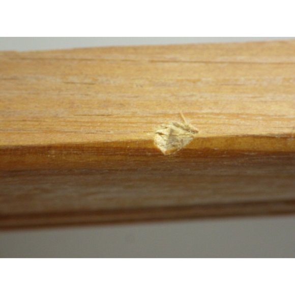 Steamboat Springs Colorado Landscape Trees Framed Photo Print Buffalo Pass - Picture 8 of 8